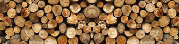 drewno budowlane bydgoszcz, drewno konstrukcyjne bydgoszcz, skład drewna bydgoszcz, tarcica bydgoszcz, tartak bydgoszcz, więźba dachowa bydgoszcz, altany bydgoszcz